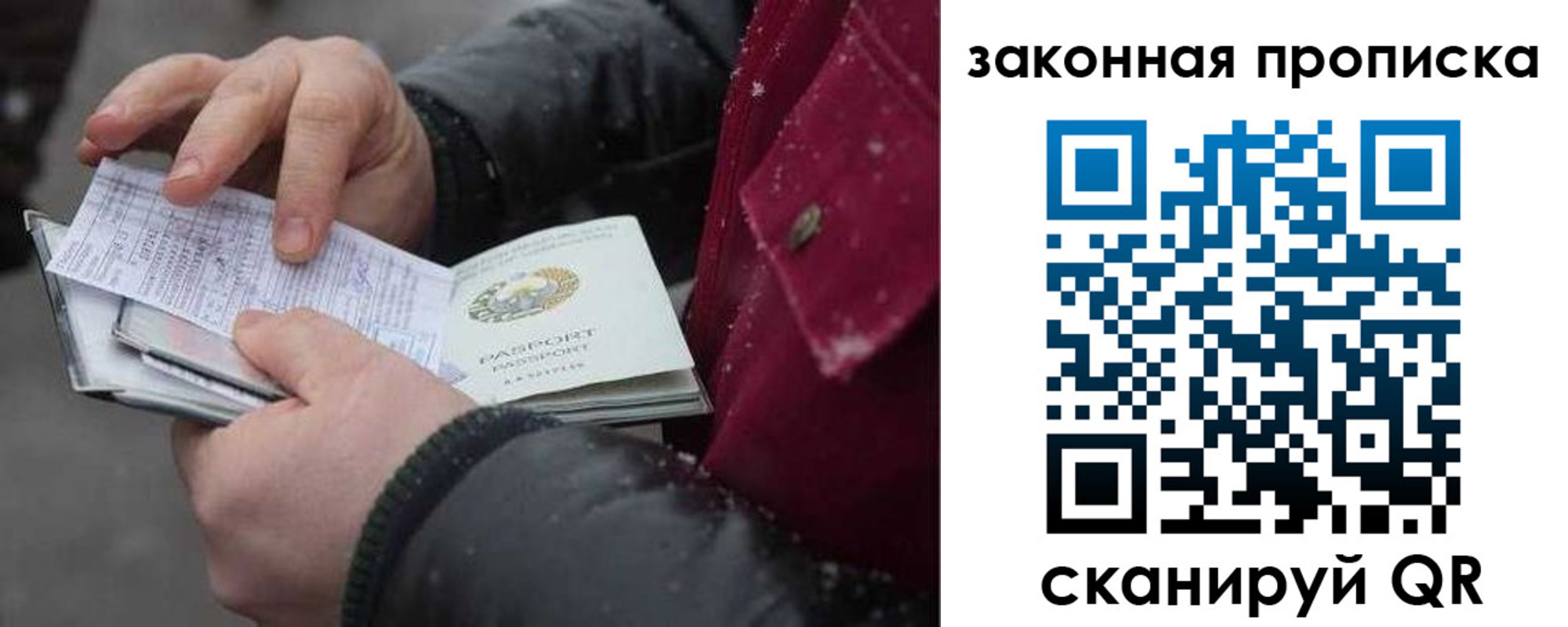 прописка поиск в Нелидово